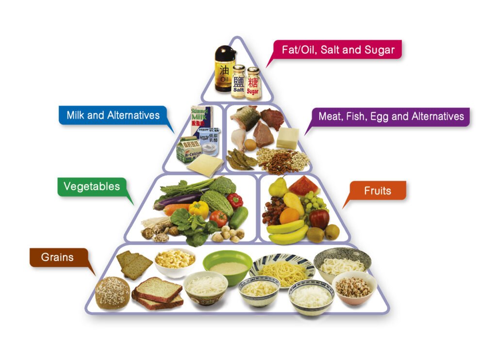 Balanced Diet for Health