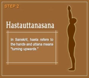The 12 Steps of Surya Namaskar
