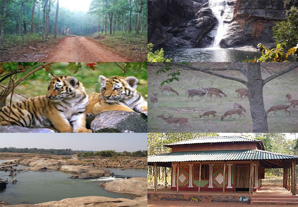 The best places to visit in Odisha | 12 best places