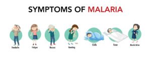 malaria symptoms