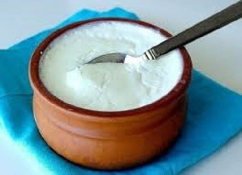 What are the benefits of curd and why should I include it in my diet?